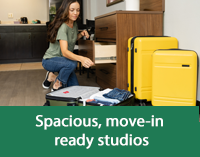 Spacious Studios