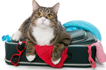 Packing List