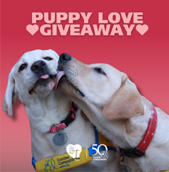 Puppy Love Giveaway